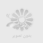 شاپينك گايد يا راهنماي خريد چه كار مي كند؟